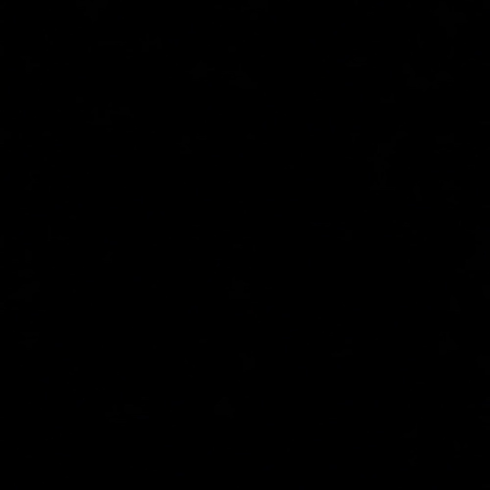 Meet your Posher, Liz